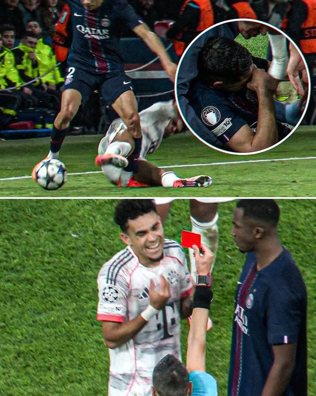 사진 = 파리 인포스