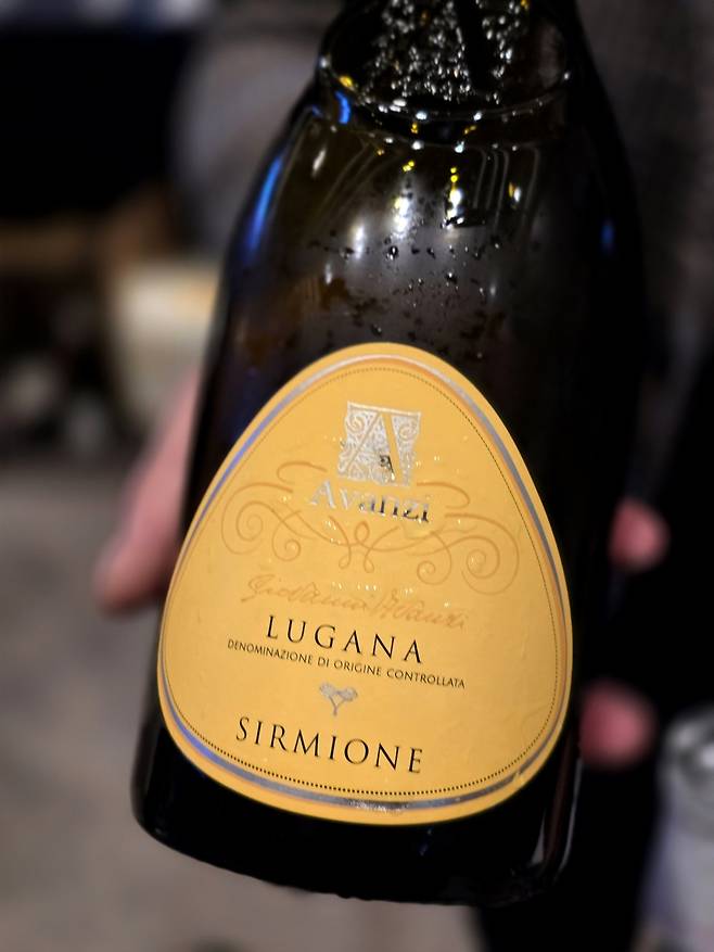 루가나 AVANZI.&nbsp; 최현태 기자&nbsp;