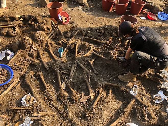 2020년 11월 7일 골령골 유해 발굴 모습 . 중도일보 DB