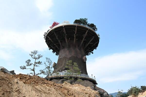 창원시 의창구 두대동 대상공원 '빅트리' 모습. /경남도민일보 DB