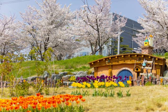 올해 7월 대구시 최초 지방공원으로 등록된 다사읍 세천늪테마정원 모습. 공장 일색인 성서5차산업단지를 푸르게 물들이는 등 지역민들에게 사랑받는 공원으로 자리매김하고 있다. 달성군 제공.