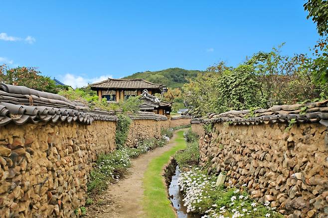 담장 따라 개울이 흐르는 삼지내마을