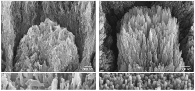 왼쪽 사진은 침식된 아파타이트 결정, 오른쪽은 2주 간의 치료 후 에피택셜 광물화를 통해 재생된 법랑질 결정을 보여준다. (사진=노팅엄 대학교)