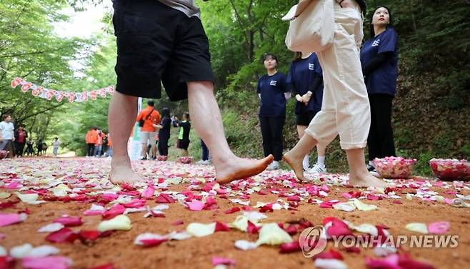 사진=연합뉴스