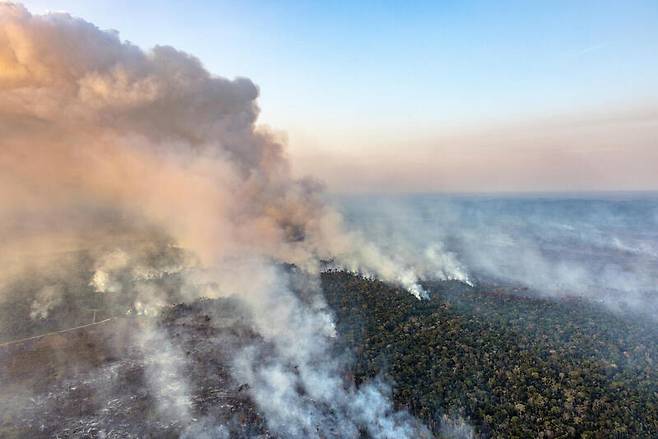 아마존의 산림 파괴 및 산불 모니터링 이미지.[그린피스 제공]