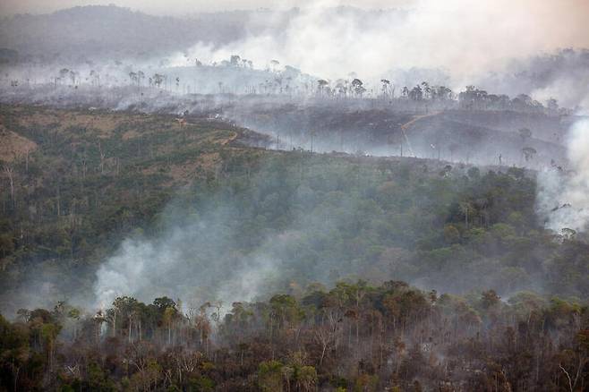 아마존의 산림 파괴 및 산불 모니터링 이미지.[그린피스 제공]