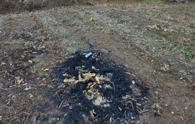 불법 소각의 흔적.[네이버 블로그 갈무리]