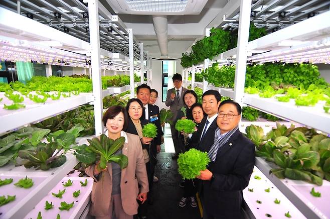 인천 서구의회 '서구 도시농업 활성화 연구회' 소속 의원들이 지난 6일 제13차 우수사례 비교시찰 장소인 '실록팜샐러드카페'를 방문해 관련 시설을 둘러보고 기념 촬영을 하고 있다. 사진=서구의회