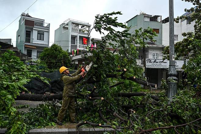 지난 6일 태풍 '갈매기'가 접근하면서 베트남 중부 잘라이성의 퀴논 해변가 나무들이 강풍에 쓰러졌다