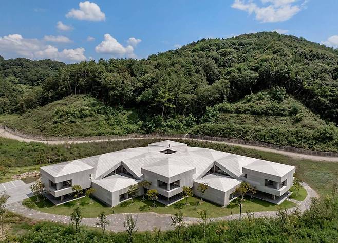 네이버 각 세종 / 출처=네이버