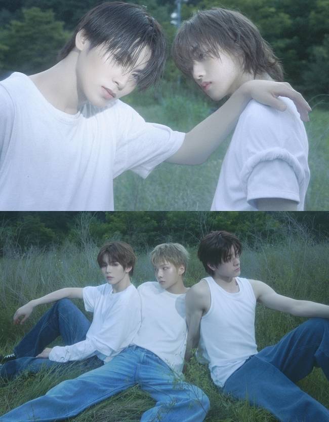 토브엔터테인먼트 제공