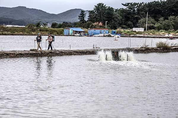 수차가 쌩쌩 도는 염전.