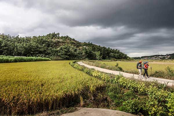 팔봉산을 오른 후 오석산으로 이동하는데 심상치 않은 먹구름이 드리우고 있다.