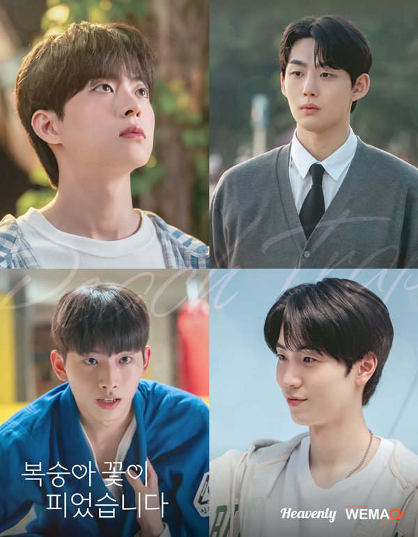 ▲ '복숭아 꽃이 피었습니다' 포스터. 제공|헤븐리