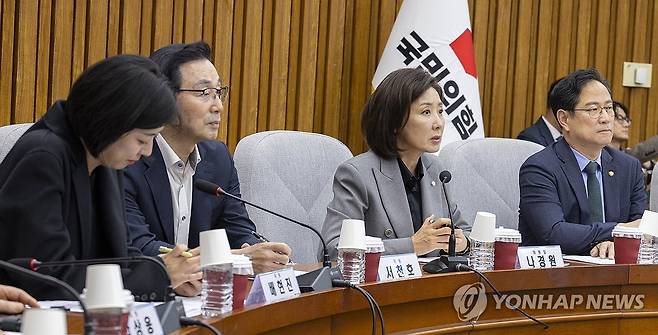 지방선거 총괄기획단 회의에서 발언하는 나경원 단장 (서울=연합뉴스) 황광모 기자 = 국민의힘 지방선거 총괄기획단장인 나경원 의원이 7일 국회에서 열린 기획단 회의에서 발언하고 있다. 2025.11.7 hkmpooh@yna.co.kr