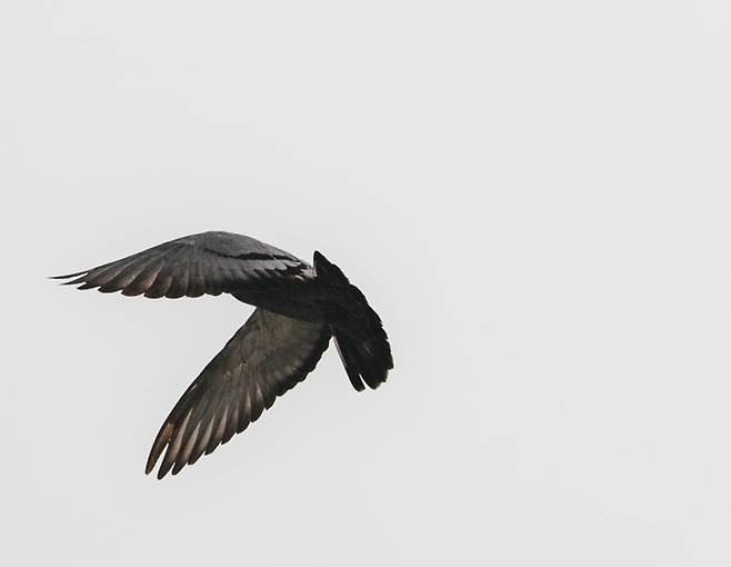 루시드폴 새 정규앨범 ‘또 다른 곳’. 사진ㅣ안테나