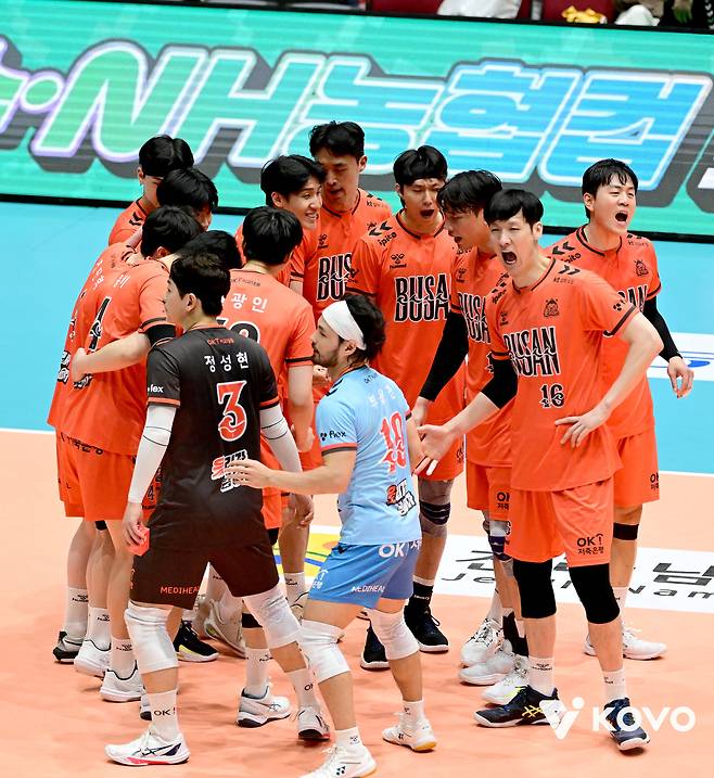 부산 OK저축은행(KOVO제공)