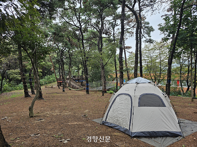 경기 안성시 죽화초등학교 뒷동산에는 텐트와 해먹, 학생들이 직접 만든 그네 등이 설치돼 있다. 김원진 기자