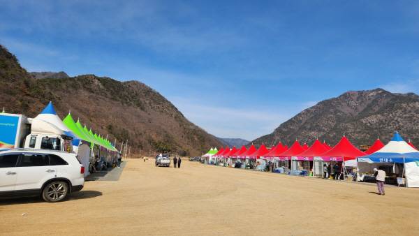 올해 2월 말부터 4월까지 열린 원동미나리축제에서 불법 논란 해소를 위해 조성한 미나리타운.