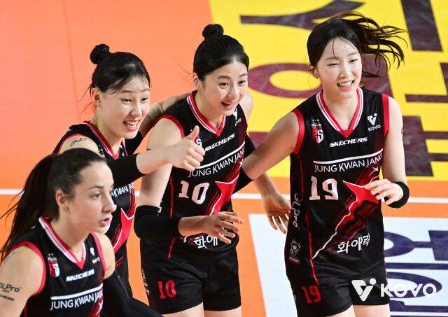 정관장 배구단./KOVO