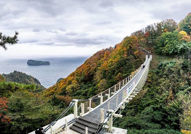 울릉군이 사업비  34억 원을 들여 만든 새로운 이정표가 될 ;울렁다;리 가  8일개통됐다.[울릉군 제공]