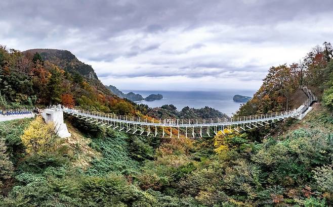 울릉군이 사업비  34억 원을 들여 만든 새로운 이정표가 될 ;울렁다;리 가  8일개통됐다.[울릉군 제공]