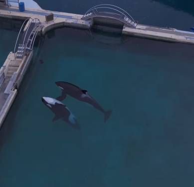 [sephlawless 인스타그램 캡처]