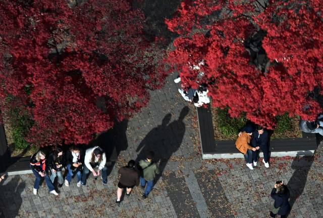 완연한 가을 날씨를 보인 9일 서울 중구 남산을 찾은 시민들이 낙엽을 밟으며 걷고 있다. 조태형 기자 2025.11.09
