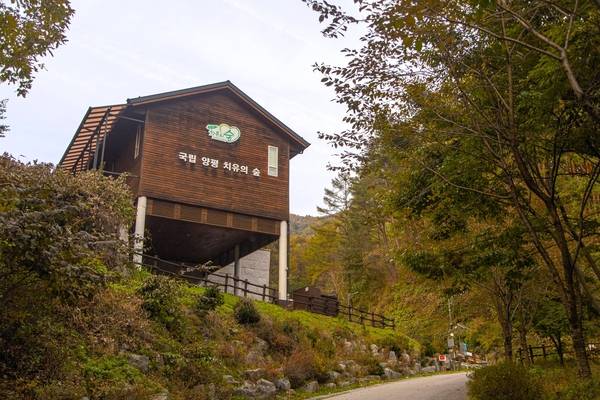 양평 국립양평치유의숲. /경기관광공사 제공
