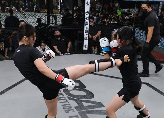 세미프로리그 경기. 사진 | 로드FC