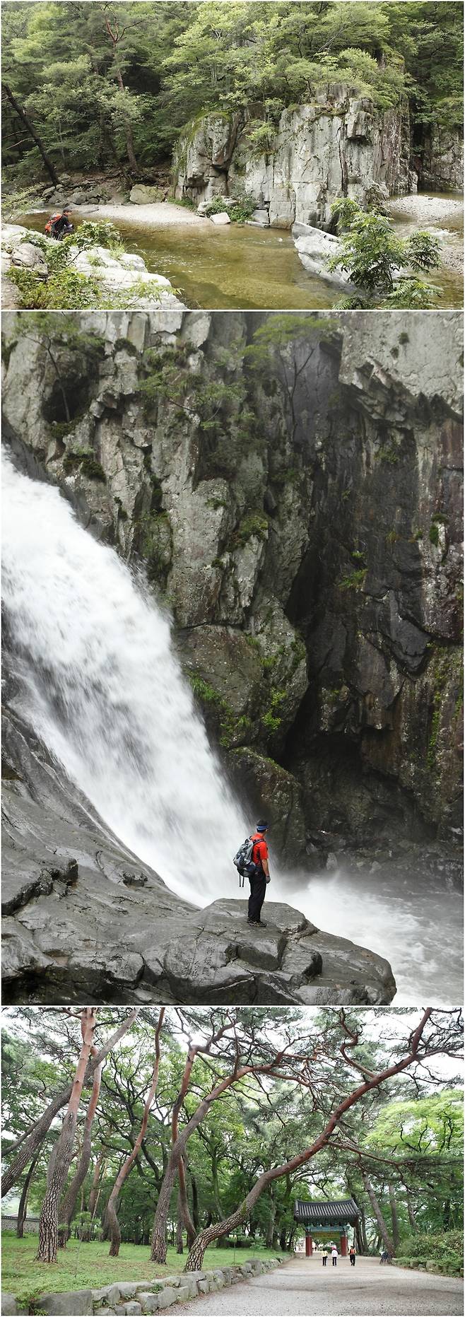 (위로부터) 내연산 계곡의 절경, 내연산 연산폭포, 보경사 들머리의 소나무숲-여행작가 최갑수