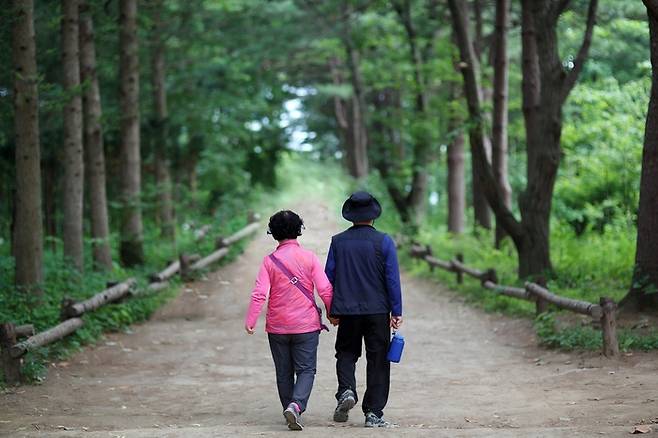 사진은 기사와 직접 관련 없음 [사진=픽사베이]