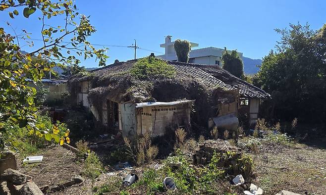 전남 장흥군 장흥읍 예양리 마을 주택가. 지붕이 내려앉은 기와집에 담쟁이넝쿨이 집 전체를 휘감고 있어 흉물스러운 모습을 연출하고 있다.
