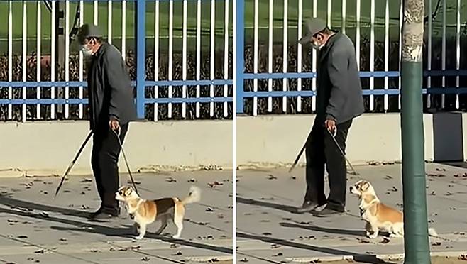 유튜브 영상 캡처