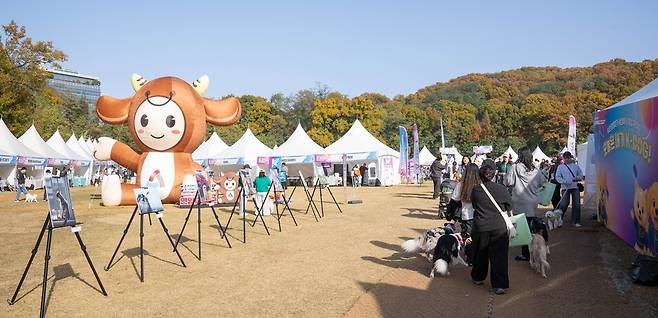 지난 11월8~9일 천안시민체육공원에서 '제3회 K-DOG FESTIVAL'이 열렸다. ⓒ천안시 제공