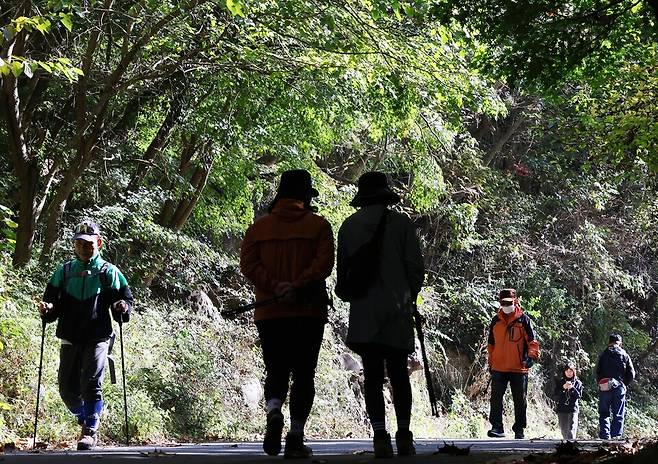 '지각 단풍에 초록빛 무등산' 입동을 이틀 앞둔 지난 5일, 광주 동구 운림동 무등산국립공원 나무들이 단풍이 들지 않은 채 초록빛을 띠고 있다. ⓒ연합뉴스