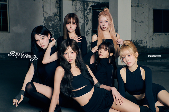 모드하우스 제공