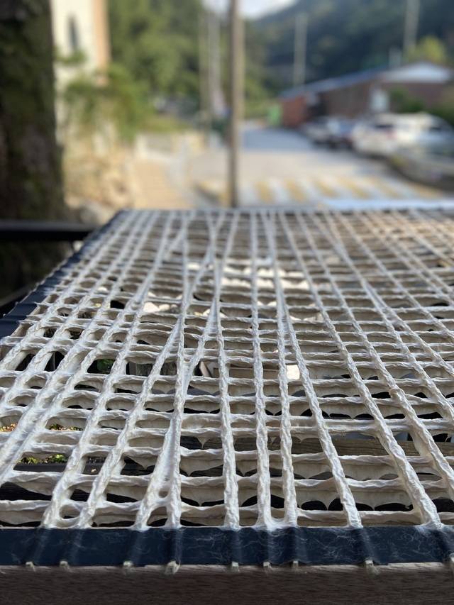 피에르 파브르 작가가 직접 만든 ‘발’/사지=독자