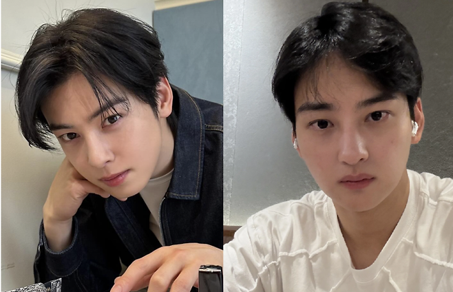 가수 겸 배우 차은우(왼쪽)과 동생 이동휘씨