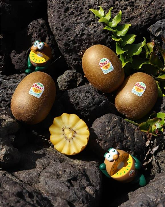 제스프리가 올해 겨울 국내산 썬골드키위를 출하했다. [사진=제스프리]