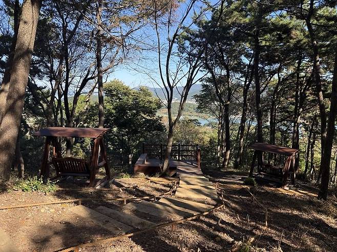 [통영=뉴시스] 신정철 기자= 통영시는 코로나19 이후 증가한 건강 및 치유 활동 수요에 대응하기 위해 용남면 삼봉산 일대에 '삼봉산 힐링숲' 조성이 완료됐다고 11일 밝혔다.사진은 삼봉산 걷기·러닝로드로 활용될 임도(3km)를 정비하고 추억의 으름덩굴 터널, 천년의 은행나무 숲, 바람전망대 등 다양한 즐길거리가 새롭게 조성한 임도 모습.(사진=통영시 제공).2025.11.11. photo@newsis.com *재판매 및 DB 금지