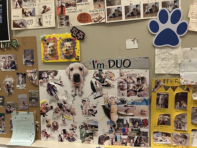 안내견들에게 고마움을 표현한 각종 글과 사진. 용인=허문명 기자