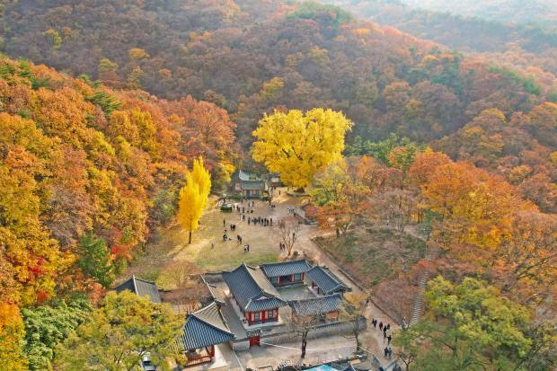 APEC 성공 감동 이어가고 있는 경주가 가을의 정취 속에서 다시 세계인의 시선을 끌고 있다. 경주 운공 서원 가을 정취. 사진=경주시 제공