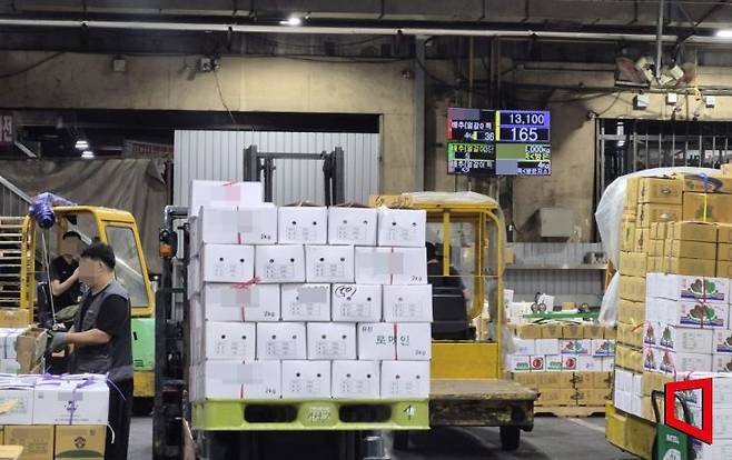 추석 연휴를 앞둔 지난 9월 서울 송파구 가락동 농수산물종합도매시장 채소동에서 경매를 거친 야채들을 지게차로 옮기고 있다. 김흥순 기자