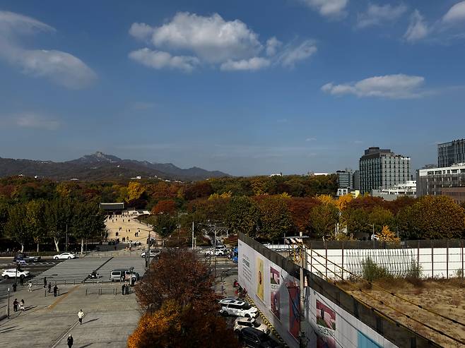 지난 11일 오후 1시 서울 종로구 훈정동 세계문화유산인 종묘 맞은편 세운4구역 재개발 사업부지가 방치돼 있다. /박지윤 기자