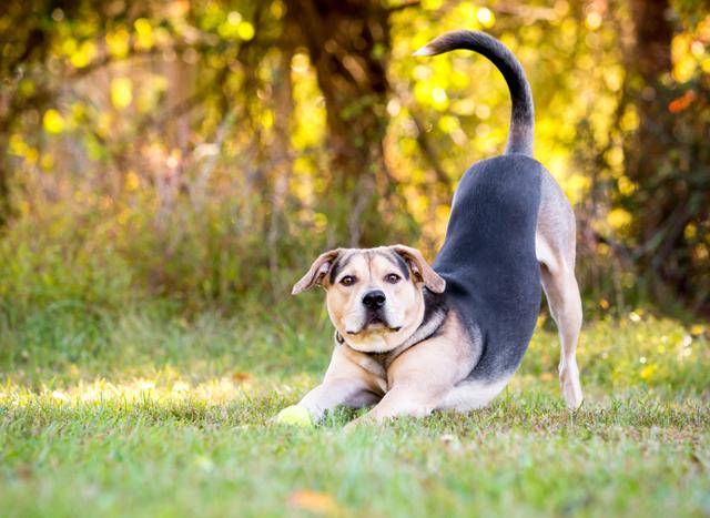 게티이미지뱅크
