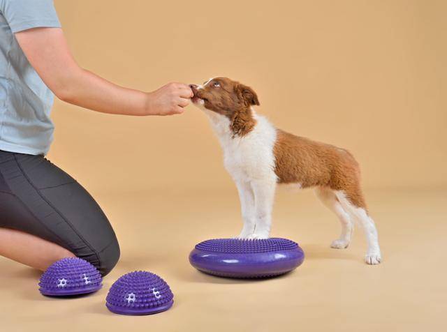 게티이미지뱅크