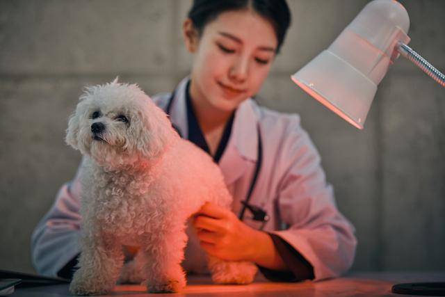 게티이미지뱅크