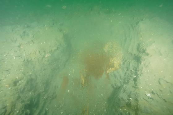 Signs of another shipwreck are seen at sea off the coast of Mado Island, near South Chungcheong's Taean. [KOREA HERITAGE SERVICE]