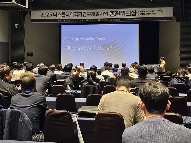 [한국디스플레이산업협회 제공]